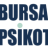 bursa psikoteknik logo